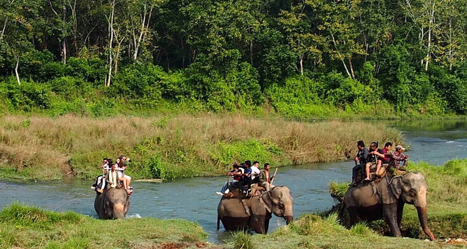 Wildlife safari Tour